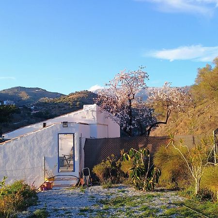 Finca El Almendro Árchez Zewnętrze zdjęcie