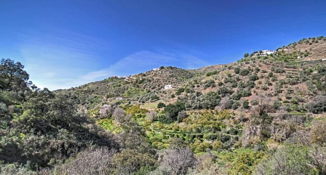 Finca El Almendro Árchez Zewnętrze zdjęcie