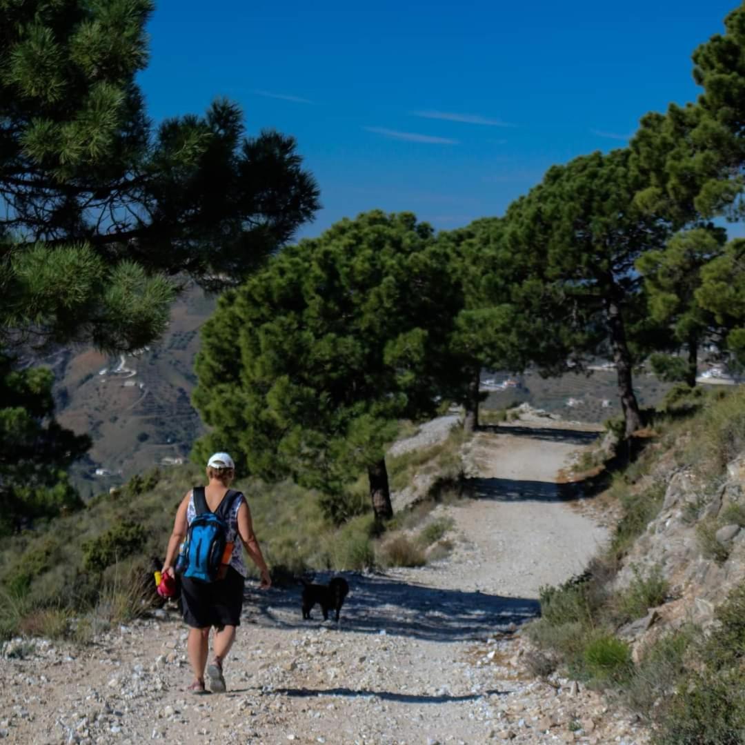Finca El Almendro Árchez Zewnętrze zdjęcie
