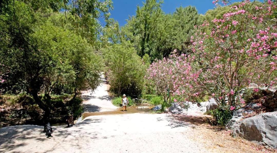 Finca El Almendro Árchez Zewnętrze zdjęcie